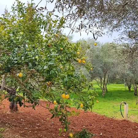 Casa Vacanze Da Nonna Mela Alghero Ngoại thất bức ảnh