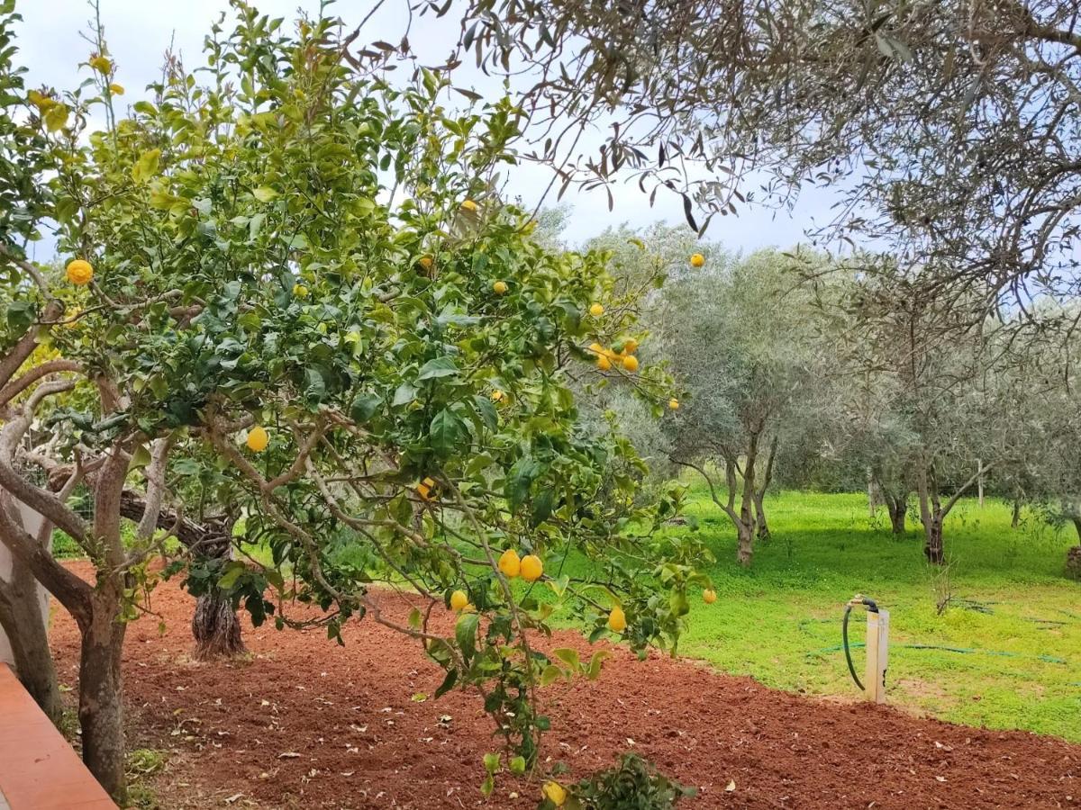 Casa Vacanze Da Nonna Mela Alghero Ngoại thất bức ảnh